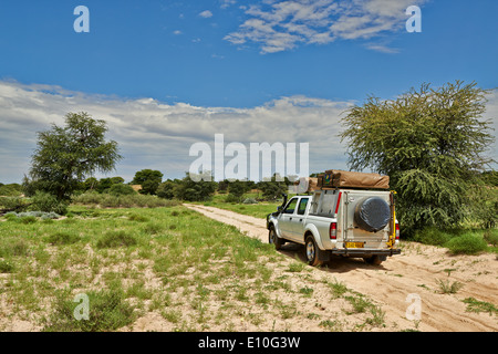 4 x 4 Geländewagen in Landschaft der Kgalagadi Transfrontier Park, Mabuasehube Abschnitt, Kalahari, Südafrika, Botswana, Afrika Stockfoto