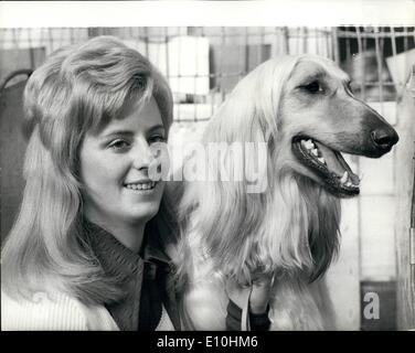 2. Februar 1973 - ist ein Vergleich im Stile Cruft es Dog Show: dort wurden mehr als 7.000 Einträge für dieses Jahr Cruft es Dog Show gestern in Olympia eröffnet und bis heute. Foto zeigt einen unruffled Auftritt am Tag Eröffnung der Show gestern - '' Moonswift Mharkus'', eine 17 Monate alte Creme Afghanischer Windhund mit seinem Besitzer, Frau Susan Bell, von Sheffield. Stockfoto