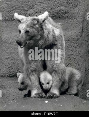 10. April 1974 - rau und Tumble - Brown Bärenjungen halten ihren Einzug: Rough und Wäschetrockner, die Brown Bear Cubs, kam heute zum ersten Mal mit ihrer Mutter, Zookie. Sie wurden am 9. geboren. Januar. Zookie, ihre Mutter wurde im Dezember 1968 in London Zoo geboren, und Nikki, ihr Vater war im Februar 1956 in Moskau geboren und Prinzessin Anne, im April 1956 vorgestellt. Foto zeigt rau und Wäschetrockner, der Braunbär Cubs sind ein wenig besorgt um ihr Aussehen als Hocke unter ihrer Mutter, Zookie, im London Zoo heute zu machen. Stockfoto