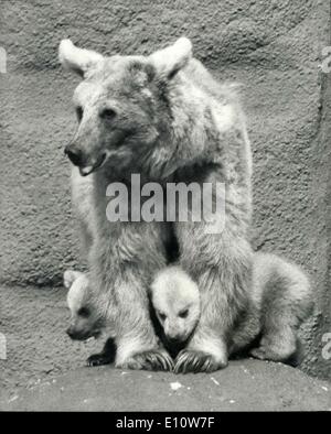 10. April 1974 - rau und Tumble-Brown Bärenjungen halten ihren Einzug: Rough und Wäschetrockner, die Brown Bear Cubs, kam heute zum ersten Mal mit ihrer Mutter, Zookie. Sie wurden am 9. geboren. January.Zookie, ihre Mutter wurde im Dezember 1968 in London Zoo geboren, und Nikki, ihr Vater, geboren Moskau ist Februar 1956, und Prinzessin Anne, im April 1956 vorgestellt. Bild zeigt: Rough und Wäschetrockner der Braunbär Cubs sind ein wenig besorgt um ihre Auftritte als Hocke unter ihrer Mutter, Zookie, im London Zoo heute zu machen. Stockfoto