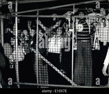 5. Mai 1974 - 750 verletzt bei Pop-Konzert im White City: mindestens 750 Teenyboppers wurden während der letzten Nacht Fatewewll Pop-Konzert von David Cassidy im White City Stadium in London verletzt. Ein Mädchen war um ihr Leben kämpfen, nachdem er einen Herzstillstand. Es waren alle 30.000 Teenyboppers in der Menge. Foto zeigt einige der Teenyboppers hinter einem Drahtzaun während letzte Nacht Abschiedskonzert von David Cassidy in White City letzte Nacht. Stockfoto