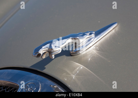 Jaguar Kühlerfigur Stockfoto