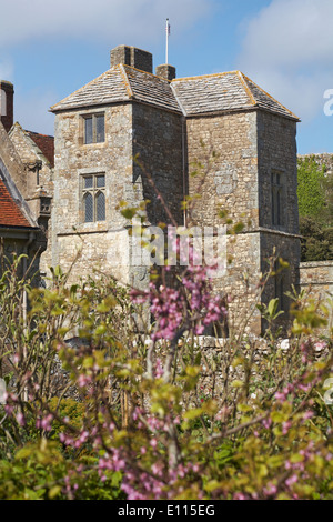 Blick von Prinzessin Beatrice Gärten auf Carisbrooke Castle, Carisbrooke, Newport, Isle of Wight, Hampshire Großbritannien im Mai Stockfoto