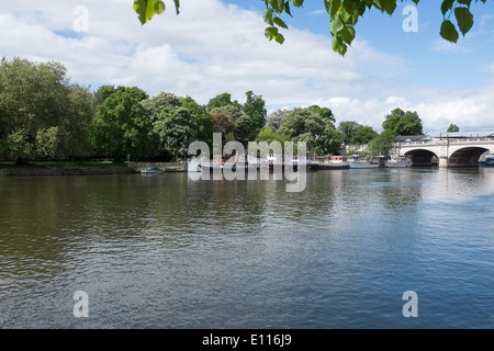 Die Themse bei KIngston Upon Thames London England UK Stockfoto