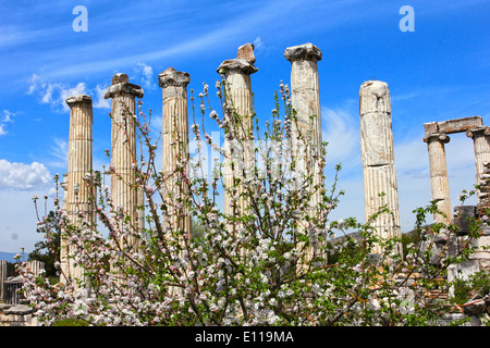 Frühling in Aphrodisias Stockfoto