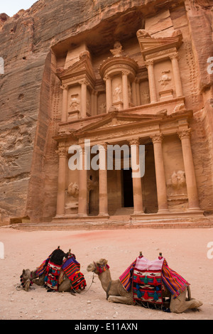 Kamele vor einem verlassenen Al Khazneh, (Finanzministerium), Petra, Jordanien Stockfoto