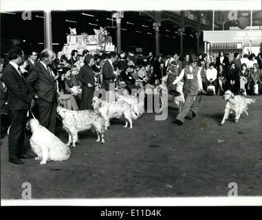 2. Februar 1977 - Crufts Dog Show bei Olimpia - die jährliche zweitägige Crufts Dog zeigen eröffnet bei Olympia heute - Foto zeigt:-einen Blick in die Beurteilung der English Setter am ersten Tag der Show. Stockfoto