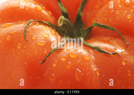 Frische und pralle Beefsteak Tomaten Stockfoto