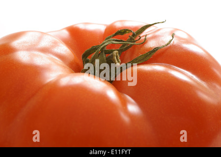 Frische und pralle Beefsteak Tomaten Stockfoto