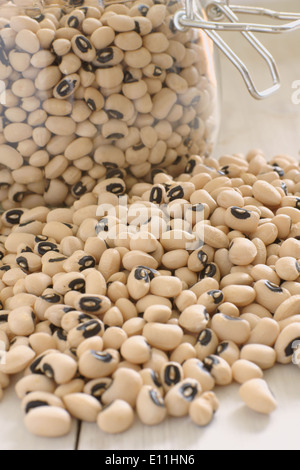 California Black eyed Peas oder Kuherbsen Stockfoto