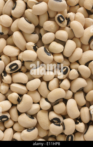 Black eyed peas Stockfoto