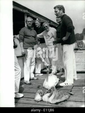 17. Juli 1978 - 17. Juli 1978 die jährliche Swan Upping Expedition auf der Themse in Henley. Swan Upping, fand die jahrhundertealten Tradition der Kennzeichnung Schwäne auf der Themse statt, heute als sechs Boote von Blackfriars flussaufwärts, in Henley aufzubrechen. Foto zeigt: Mutter Schwan und ihre Cygnets warten darauf, während der jährlichen Swan upping auf der Themse in Richmond heute markiert werden. Stockfoto