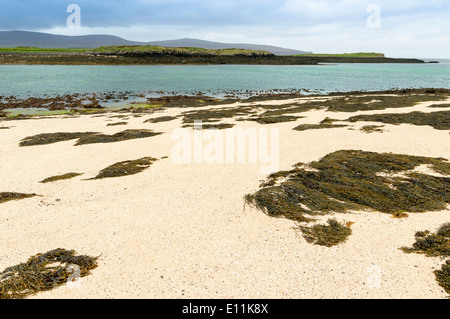 STRAND VON CORAL ODER MAERL ALGEN IN DER NÄHE VON CLAIGAN AUF DER ISLE OF SKYE SCHOTTLAND Stockfoto