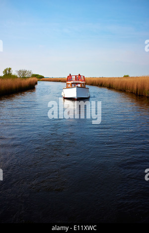 Bootfahren auf der Norfolk Broads, Norfolk, England, Vereinigtes Königreich, Europa. Stockfoto