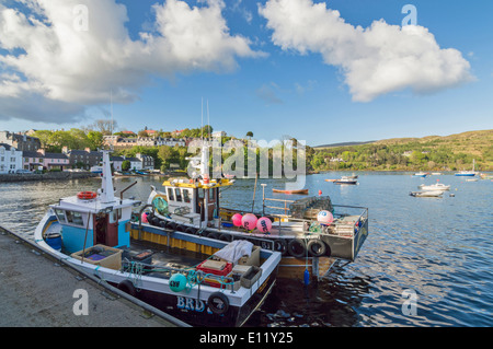 PORTREE HAFEN AN DER ISLE OF SKYE MIT FISCHERBOOTEN UND UMLIEGENDEN HÄUSERN MIT BÄUME IM FRÜHLING Stockfoto