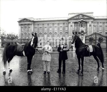 15. Dezember 1980 - kommt Tennessee zum Buckingham Palace; Pferde aus der ganzen Welt berühmten Tennessee Stud in Europa zum ersten Mal sind in den Royal Mews abgestellt werden und sind zu Fuß Übungen täglich, vor dem Auftritt bei der International Horse Show Olympia gegeben. Diese Pferde haben einige der höchsten Decktaxen in der Welt und sind bekannt für ihre elegante Erscheinung und Wandern und Leistung im Trab. Stockfoto