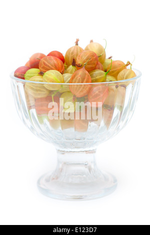 Grüne und rote Frische Stachelbeeren in eine Glasschüssel Stockfoto