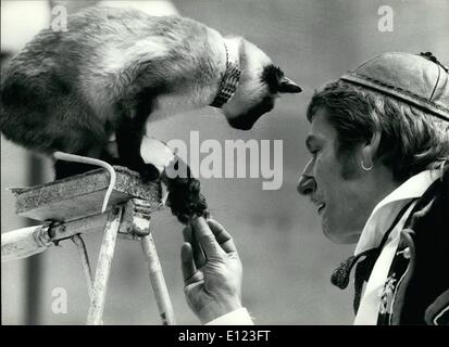 4. April 1984 - und die Katze wird nicht die schöne beißen.: Stars der Show der Schweizer '' Circus Maus '', wahrscheinlich kleinsten Zirkus der Welt, sind diese Siamkatze und zwei Riesen-Mäuse, die mit Zirkus Besitzer und Tiertrainer Henri Gugelmann in bester Freundschaft führt. Auch sind Vögel, ein Hund, eine Ziege und ein Schwein. Gugelmann und seine '' Circus Maus '', stammt aus Basel, Schweiz, ist tatsächlich durch die Schweiz reisen. Bild hat in diesen Tagen in Lausanne, Schweiz, wo er bis zum 16. Mai bleibt. Stockfoto