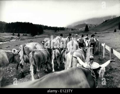 7. Juli 1984 - jeden Frühling: Das gleiche noch einmal: Schweizer Bauern bringen ihre Kühe in die Berge bis zu den Alpen Sommer. In den frühen Morgenstunden beginnt ein langer Spaziergang im Toggenburg (Schweiz). Die Bauern tragen ihre traditionelle Tuch. Stockfoto