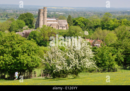 Dollar - Chiltern Hills - Ellesborough - Blick auf Beacon Hill Felder + Hecken in die Kirche - Frühlingssonne - Walker am Feld Tor Stockfoto