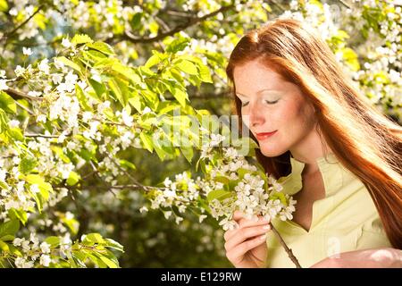 25. April 2009 - 25. April 2009 - schöne Frau unter blühenden Baum an einem sonnigen Tag Stockfoto