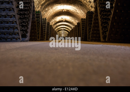 Gallerie in der Kellerei Codorniu, St. Sadurni d. Barcelona Stockfoto