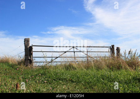 Feld-Tor auf einem Hügel mit blauem Himmel Stockfoto