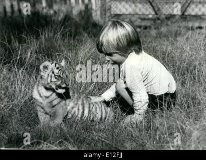 26. Dezember 2011 - John Aspinalls Sohn Bassa spielt mit einem bewölkten Leopardenjungen auf dem Gelände des schönen Zoo-Parks Howletts in antebury. Stockfoto