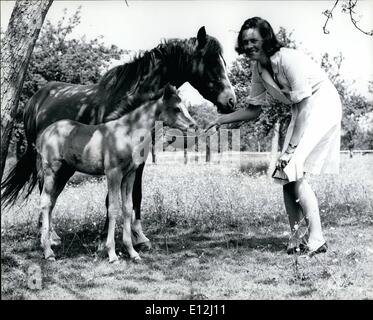 9. Januar 2012 - Ann, Herzogin von Rutland mit zwei ihrer Welsh Ponys die sie erfolgreich züchtet und exportiert auf der ganzen Welt. Stockfoto