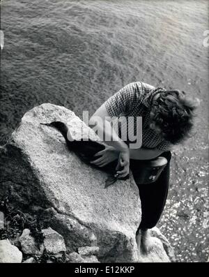 24. Februar 2012 - Aufseher der Lundy Island; Barbara Whitaker behebt prekär auf einem Felsvorsprung hoch über dem Meer thront einen Ring am Bein des jungen Shag. Stockfoto