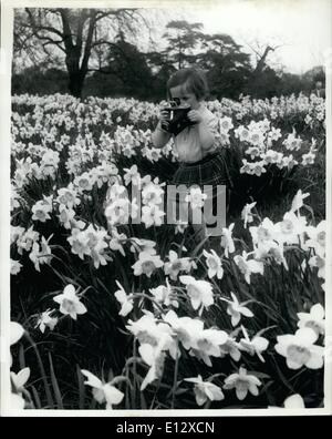 26. Februar 2012 - Frühling in der Luft: Frühling ist ein wenig spät in diesem Jahr, aber besser spät als nie, es ist gerade angekommen in den neuen Gärten. Die Blüte auf der Magnolien ist in voller Blüte und Narzissen sind Cout in all ihrer Pracht. Und in diesem Frühjahr Frühling, Frühling in der Luft, die Sonne im Park genießen Sie die Menschen brachte. Eine Vielzahl von goldenen Narzissen und hier ist eine kleine Kleinkind versucht, alle fangen dieses Frühjahr Ruhm mit der Kamera. Stockfoto