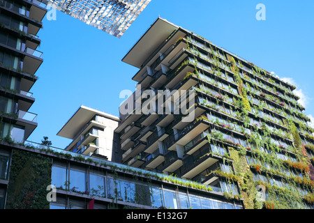 Ein Stadtpark städtische Siedlung in Chippendale, Sydney, New South Wales, Australien, vertikale Gärten von Patrick Blanc französische Botaniker Stockfoto