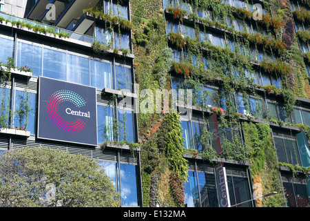 Ein Stadtpark städtische Siedlung in Chippendale, Sydney, New South Wales, Australien, vertial Garten von Patrick Blanc französische Botaniker Stockfoto