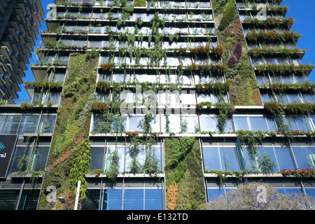 Ein Stadtpark städtische Siedlung in Chippendale, Sydney, New South Wales, Australien, vertial Garten von Patrick Blanc französische Botaniker Stockfoto