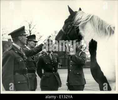 26. Februar 2012 - Blues neue Durths Pferd Witz Renaned Hanneibal es Winsor. Ein vier-jährige Skewbal Wallach, wurde als das neue Trommel-Pferd der Royal Horse Guards (Blues) gewählt wurde, hat er die Regimenter berühmten Trommel Pferd Pompey, welches im Juli gestorben ersetzt. Joker, die den Namen des Pferdes war jetzt umbenannt wurde Hannibal durch das Regiment, Hannibal, 17,1 Hände von Sir Edward Forster in Newport, Shropshire gezüchtet wurde - er wurde von der Armee vor drei Wochen gekauft. Foto zeigt Trooper, A. R. Pilsbury, Hannibalsa, Bräutigam hält das Pferd der Major der Marquess of rodeo Stockfoto