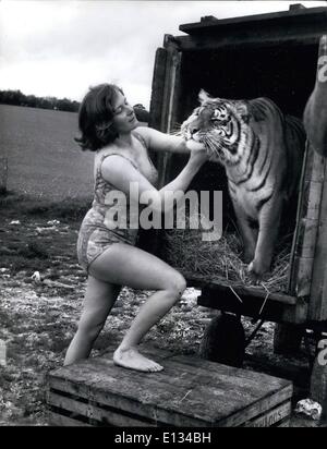 26. Februar 2012 - nur ungern Tiger seinen Lkw verlassen zu überzeugen. Mary Chipperfield und Suki. Stockfoto