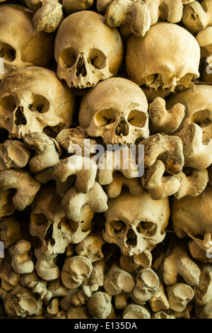 Menschlichen Schädeln und Knochen in der Wand der Kapelle Schädel in Czermna, Polen Stockfoto