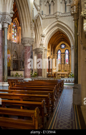 Interieur der Kirche St. Coleman in Cobh, County Cork, Irland Stockfoto