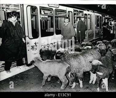 2. März 2012 - Bonns '' schwarze Schafe '' '' schwarze Schafe '' sind die Pendler in der deutschen Hauptstadt, die zum auslassen verlassen ihren Fahrpreis zu bezahlen. Die Stadt jährlich 2 Millionen Mark verliert. Die städtischen Behörden inszenierte eine Demonstration, 20 schwarze Schafe auf die Sub-Weg, so wie ihre Bürger die Fehler ihrer Wege aufzeigen. Stockfoto