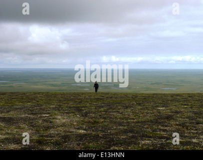 Die Andreafsky Wilderness, die sich im Yukon Delta National Wildlife Refuge befindet, ist eine unberührte Landschaft von natürlicher Schönheit, die vielfältige Tierwelt und Ökosysteme in der Wildnis Alaskas bewahrt. Stockfoto