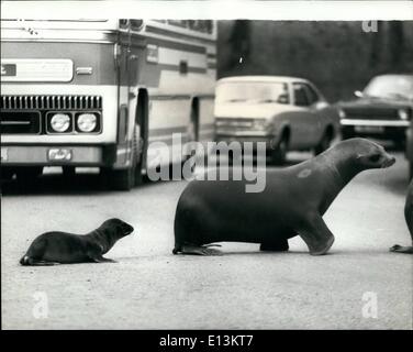 2. März 2012 - Abdichtung ihr Schicksal: Freddy und Sally nicht scheinen ein wenig abschrecken durch den Verkehr, wie sie langsam aber sicher diese Straße zu überqueren. Freddy, nur 10-Year-Old Seelöwen Pup und seine Mutter Sally Wind ihren Weg nach Hause, Longleat Herrenhaus in Wiltshire, Woned von Francis von Cath.,, beherbergt eine Löwen-Reserve. Aber es hat nie untergebracht, Seelöwen vor! In der Tat sind sie eine seltene leichte in England, wo sie in der Regel nicht an einer kalten Umgebung gewöhnt, sterben, Stockfoto