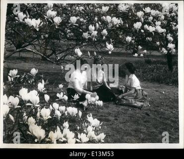 22. März 2012 - Frühling in der Luft: Frühling ist ein wenig spät in diesem Jahr aber besser spät als nie und es ist in Kew Gardens angekommen. Stockfoto