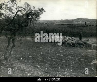 2. März 2012 - eine friedliche französischen pastorale Szene. Ein Schaf Hirte und seine Herde in der Nähe von St. Julian, im Süden Frankreichs, westlich von Marseille vor Martigues erreichen. Stockfoto