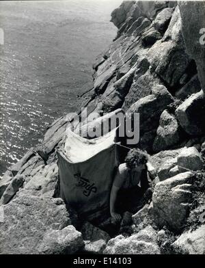 31. März 2012 - Warden von Ludy Island: Barbara Whitaker klettert in eine der mehreren verstecken-aber auf den Klippen, die sie selbst gemacht hat. Oft wird sie stundenlang außer Sichtweite der Vögel drin sitzen, die studiert, bevor sie sie für Klingeln erfasst. Stockfoto