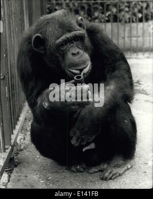 31. März 2012 - A-Rohr ist des Menschen bester Freund.: Williiam, 20-jährige Schimpanse im Zoo von Cromer, ist seit fast fünfzehn Jahren ein Rohr Mann. Da die Anti-Raucher-Kampagne Stärke in den letzten Jahren gewonnen hat, Zoo Inhaber Frau Olga Kerr, getan hat ihr gutfunktionierenden entwöhnen seine aus der Gewohnheit, aber bisher ohne viel Erfolg. Ohne seinen besten Kumpel William scheint nur Kiefern- und Bedome eine elende Greis: aber mit seinem Lieblings Holz zwischen den Zähnen, er ist so glücklich wie ein Sand junge! Einmal versuchte er, eine Zigarette, aber als er anfing, die Testversion Aktivitäte recht schnell Essen! Stockfoto