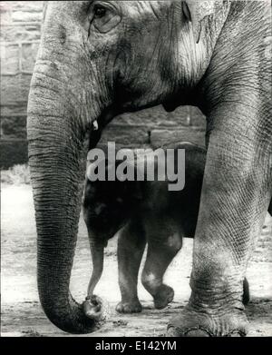 31. März 2012 - das ist mein Baby: die ersten Elefanten leben in Großbritannien geboren werden ist im Chester Zoo wo ist es von den anderen Elefanten in der Verbindung nicht nur von seiner Mutter Cossetted. Chester ist eine der einzigen Zoos Welt wohin alle Elefanten freigesetzt, führte leider zu den Tod von Vater des Kindes im vergangenen Jahr als Nobby, eine patzige Erwachsene auf Musth (wenn Elefanten Beserk gehen) erschossen werden musste, wenn er entkam. Das Baby so weit ist, ruhig, offen und Gehorsam, und Mama ist wie alle Frauen zu ihr, er ist der weltweit beste Baby. Stockfoto
