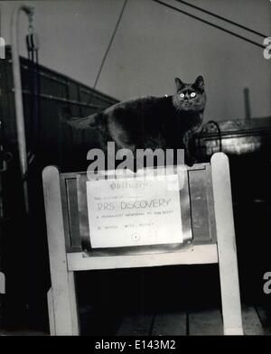 4. April 2012 - '' piept '' die Katze, die sich weigern, '' verlassen Schiff '': R.R.S Discovery, liegt das berühmte Segelschiff Captain Scott in die Arktis hat bei ihr morgen auf dem Themse-Ufer, leer und verlassen, für Sea Scouts, die verwendet, da ihr Schiff halten sie die Kosten nicht mehr leisten kann. Nicht ganz leer, jedoch und nicht beruhigt verlassen, denn es eine Seele an Bord gibt, die sich weigern, die Bestellung aufzugeben Schiff zu gehorchen '' und wie ein Schiffskapitän bestimmt wird einen Stock zu seinem Schiff bis zum letzten Moment Stockfoto