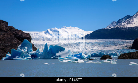 Grey-Gletscher. Torres del Paine Nationalpark. Patagonien. Chile Stockfoto