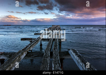 Alten Pier. Punta Arenas. Patagonien. Chile Stockfoto