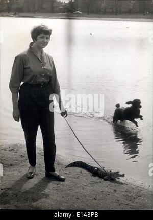 17. April 2012 - Murgatroyd ist an der Leine gehalten: Anne Kindler hat das in den Griff zu ihr ungewöhnliches Haustier oder er würde Sie in den Bootfahren Teich auf gemeinsame W'don schwimmen gehen und wahrscheinlich bekäme Haustieres Pudel Lulu einen Schluck auf den Beinen. Sie weiß, sie ist jetzt sicher und Striche nach oben und unten zum planschen und Berking voller Mut und Kühnheit. Stockfoto